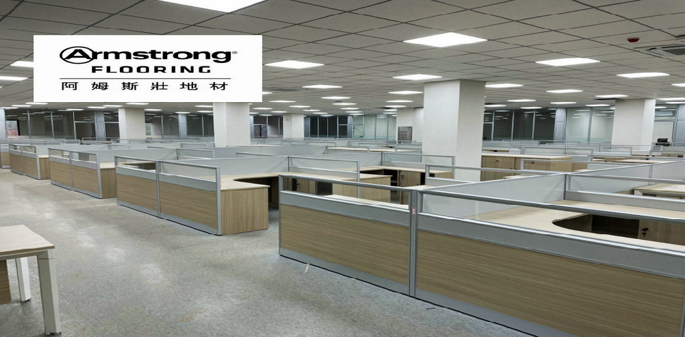 阿姆斯壮龙彩同质透心片材